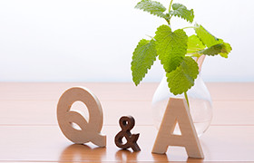 Q&A